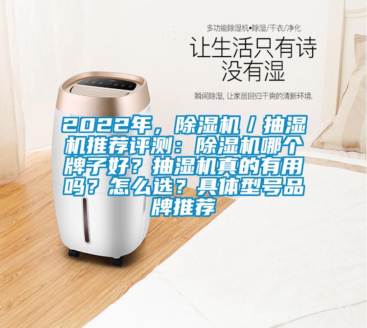 2022年，除濕機(jī)／抽濕機(jī)推薦評測：除濕機(jī)哪個牌子好？抽濕機(jī)真的有用嗎？怎么選？具體型號品牌推薦