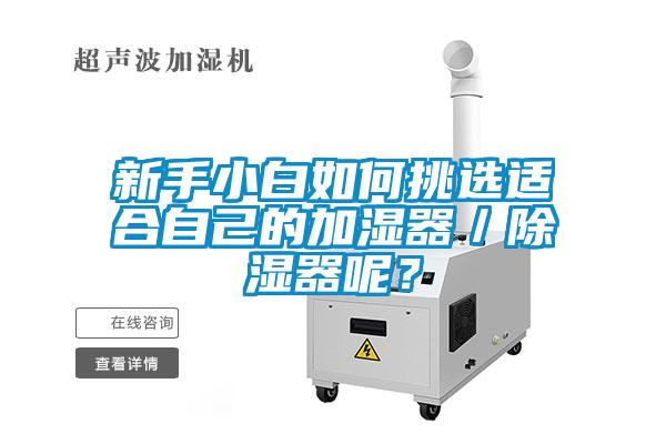 新手小白如何挑選適合自己的加濕器／除濕器呢？