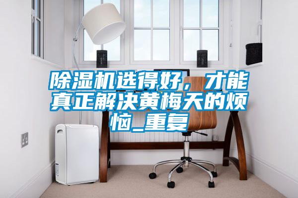 除濕機選得好，才能真正解決黃梅天的煩惱_重復