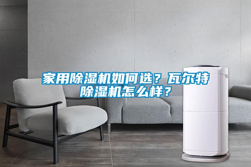 家用除濕機如何選？瓦爾特除濕機怎么樣？