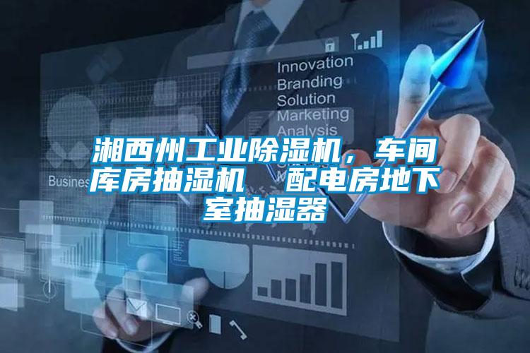 湘西州工業除濕機，車間庫房抽濕機  配電房地下室抽濕器