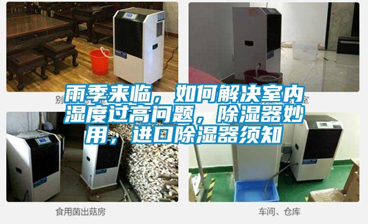 雨季來臨，如何解決室內濕度過高問題，除濕器妙用，進口除濕器須知