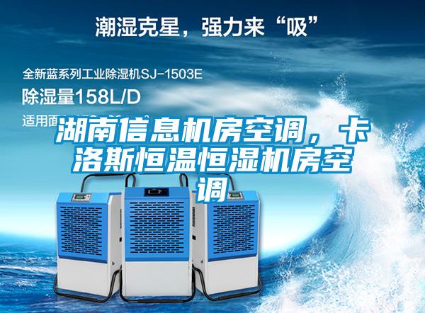 湖南信息機房空調，卡洛斯恒溫恒濕機房空調