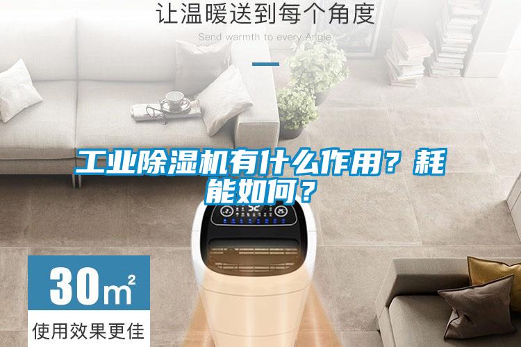 工業(yè)除濕機(jī)有什么作用？耗能如何？