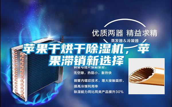 蘋果干烘干除濕機，蘋果滯銷新選擇