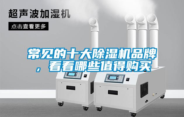 常見的十大除濕機品牌，看看哪些值得購買