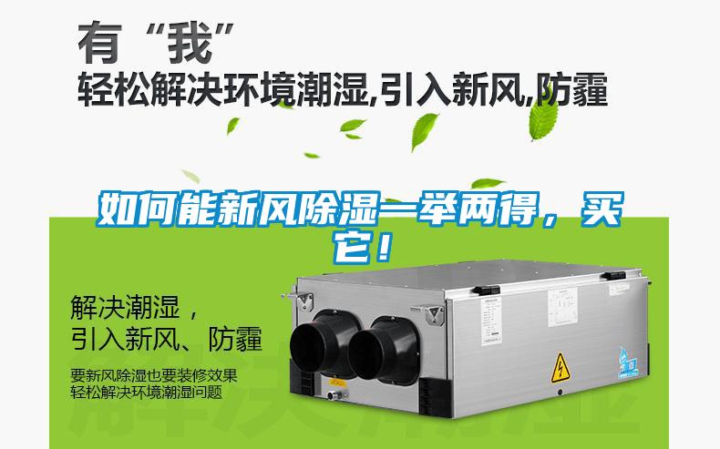 如何能新風除濕一舉兩得，買它！