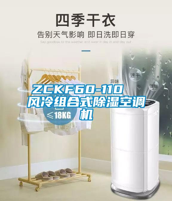 ZCKF60-110  風冷組合式除濕空調(diào)機