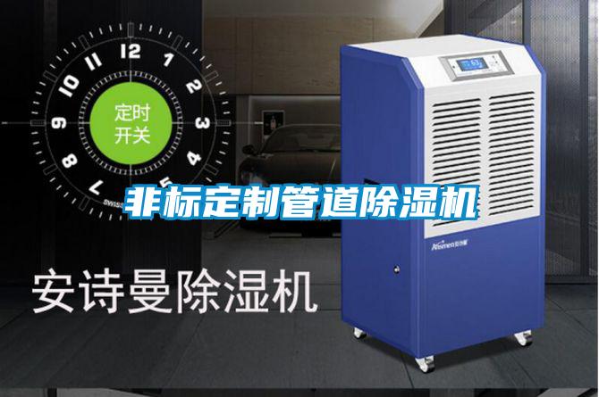 非標(biāo)定制管道除濕機