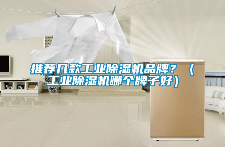 推薦幾款工業(yè)除濕機品牌？（工業(yè)除濕機哪個牌子好）