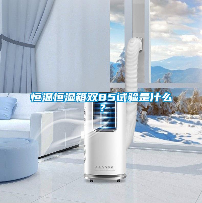 恒溫恒濕箱雙85試驗是什么？