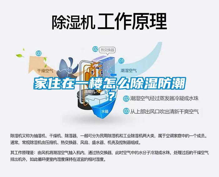 家住在一樓怎么除濕防潮？
