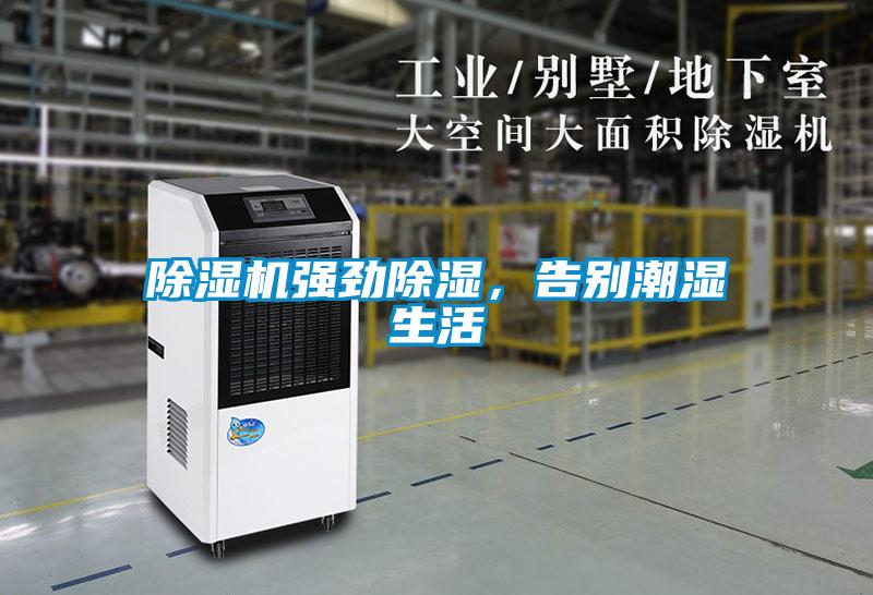 除濕機強勁除濕，告別潮濕生活