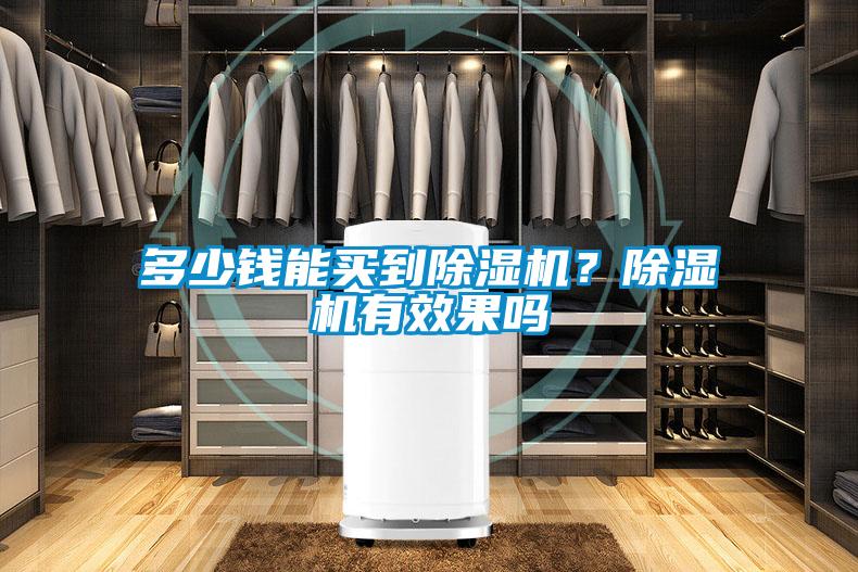 多少錢能買到除濕機？除濕機有效果嗎