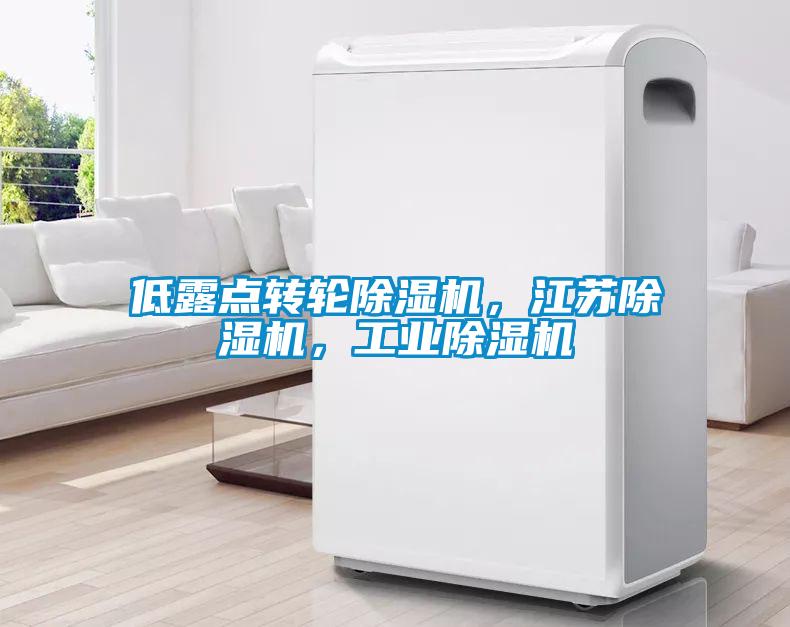 低露點轉輪除濕機，江蘇除濕機，工業除濕機