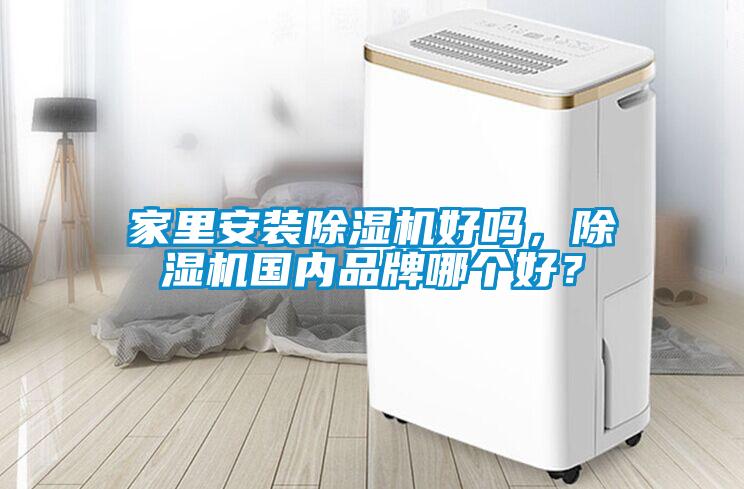 家里安裝除濕機好嗎，除濕機國內品牌哪個好？
