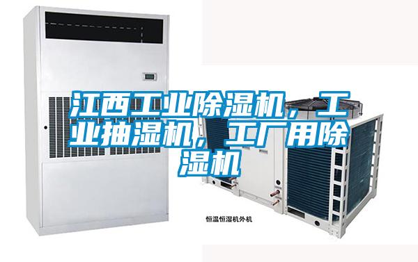 江西工業(yè)除濕機(jī)，工業(yè)抽濕機(jī)，工廠(chǎng)用除濕機(jī)