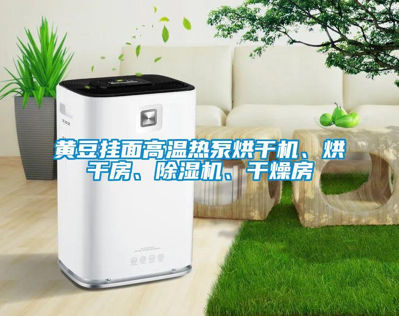 黃豆掛面高溫熱泵烘干機、烘干房、除濕機、干燥房