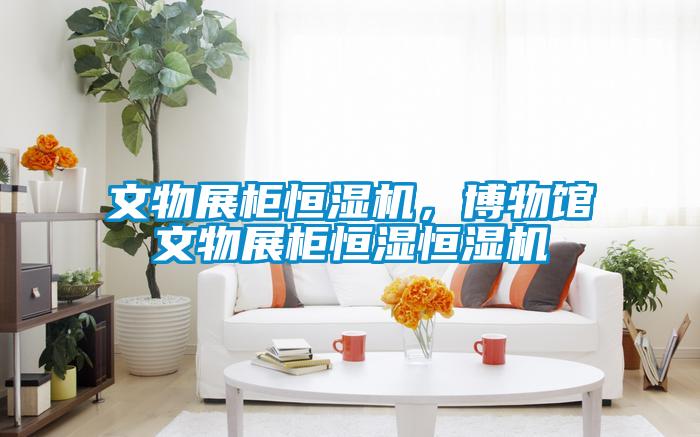 文物展柜恒濕機，博物館文物展柜恒濕恒濕機