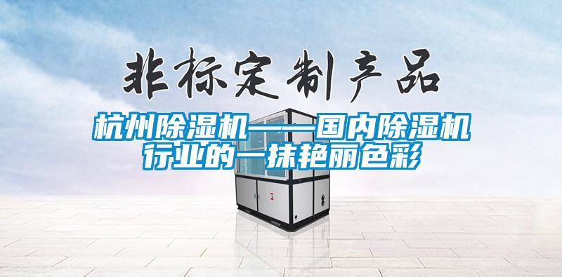 杭州除濕機——國內除濕機行業(yè)的一抹艷麗色彩