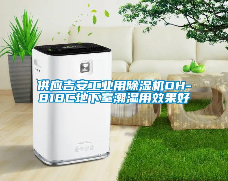 供應(yīng)吉安工業(yè)用除濕機DH-818C地下室潮濕用效果好