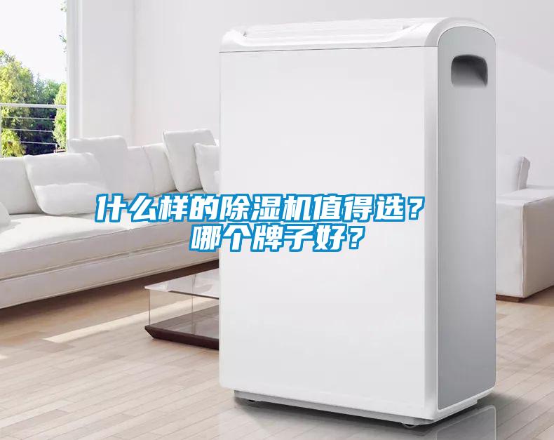 什么樣的除濕機(jī)值得選？ 哪個(gè)牌子好？