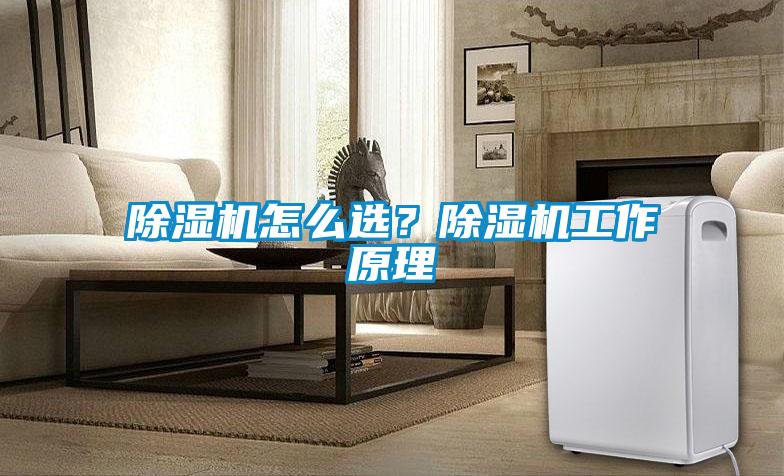 除濕機(jī)怎么選？除濕機(jī)工作原理