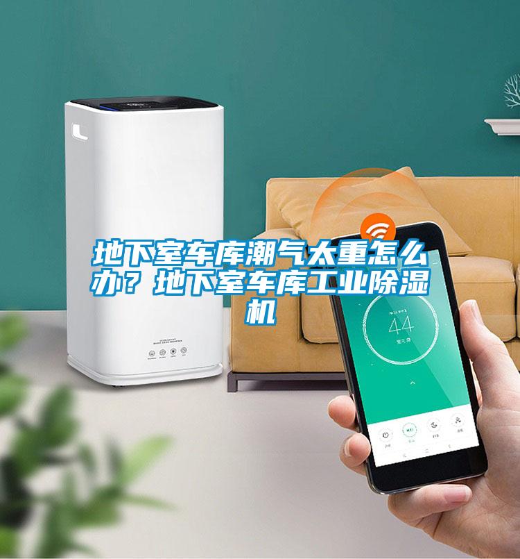 地下室車庫潮氣太重怎么辦？地下室車庫工業(yè)除濕機(jī)
