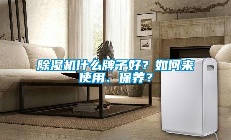 除濕機什么牌子好？如何來使用、保養？
