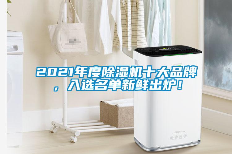 2021年度除濕機十大品牌，入選名單新鮮出爐！