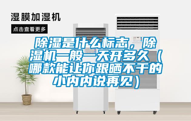 除濕是什么標志，除濕機一般一天開多久（哪款能讓你跟曬不干的小內內說再見）