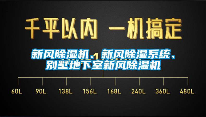 新風(fēng)除濕機(jī)、新風(fēng)除濕系統(tǒng)、別墅地下室新風(fēng)除濕機(jī)