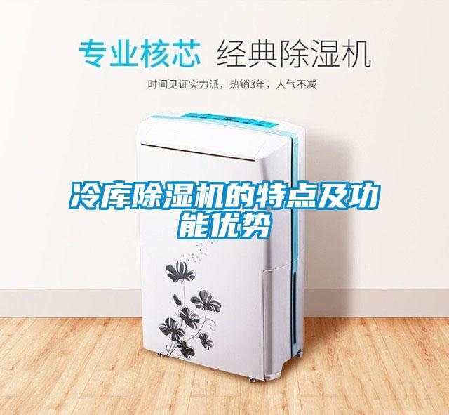 冷庫除濕機(jī)的特點(diǎn)及功能優(yōu)勢(shì)