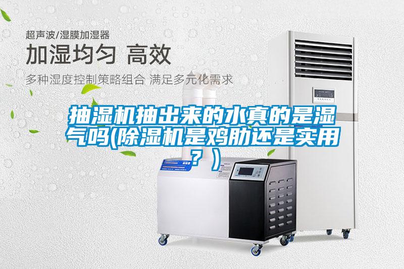 抽濕機(jī)抽出來的水真的是濕氣嗎(除濕機(jī)是雞肋還是實用？)