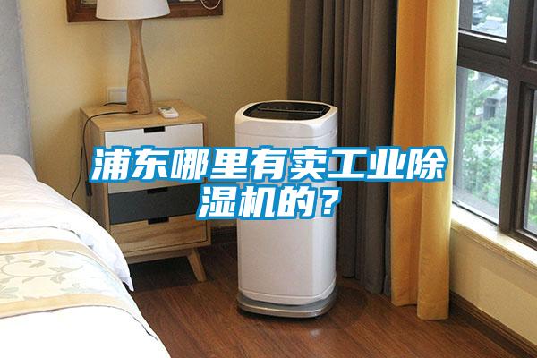 浦東哪里有賣工業除濕機的？
