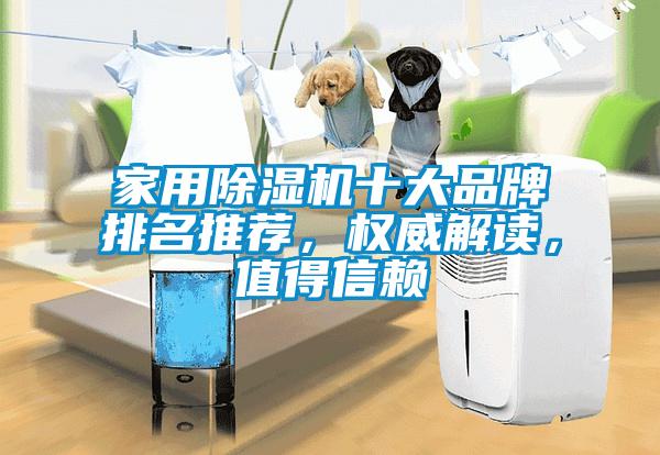 家用除濕機十大品牌排名推薦，權威解讀，值得信賴