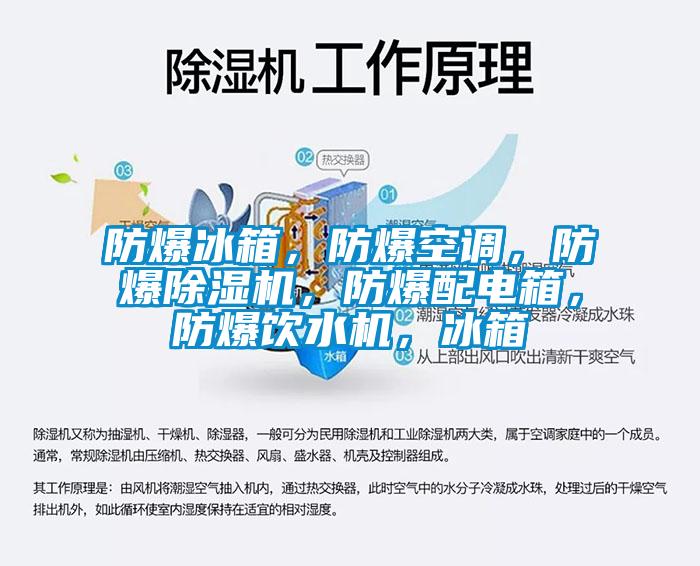 防爆冰箱，防爆空調，防爆除濕機，防爆配電箱，防爆飲水機，冰箱