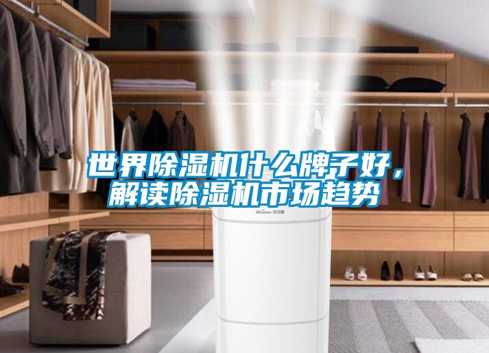 世界除濕機什么牌子好，解讀除濕機市場趨勢