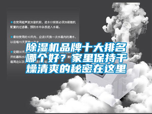 除濕機品牌十大排名哪個好？家里保持干燥清爽的秘密在這里