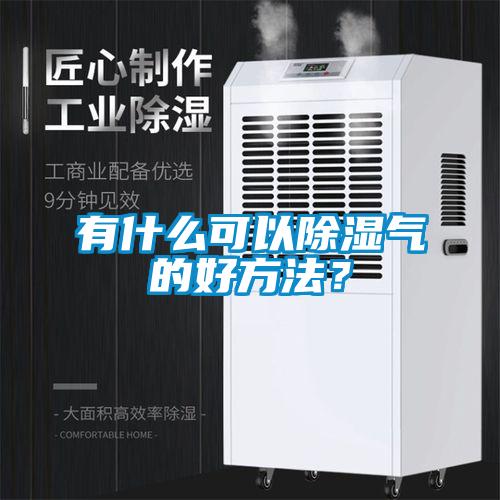 有什么可以除濕氣的好方法？