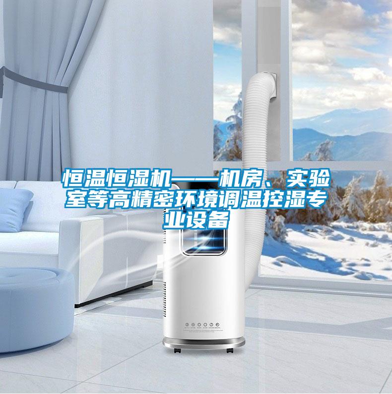 恒溫恒濕機——機房、實驗室等高精密環境調溫控濕專業設備