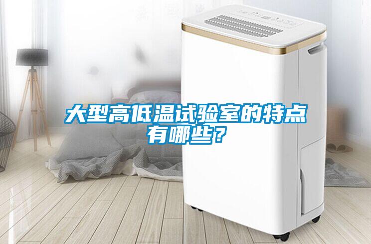 大型高低溫試驗室的特點有哪些？