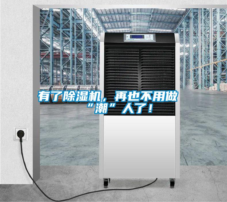 有了除濕機，再也不用做“潮”人了！