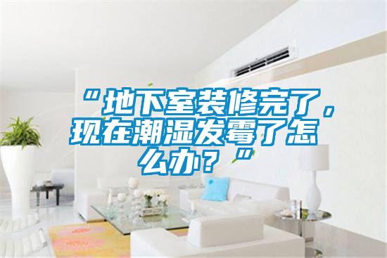 “地下室裝修完了，現在潮濕發霉了怎么辦？”