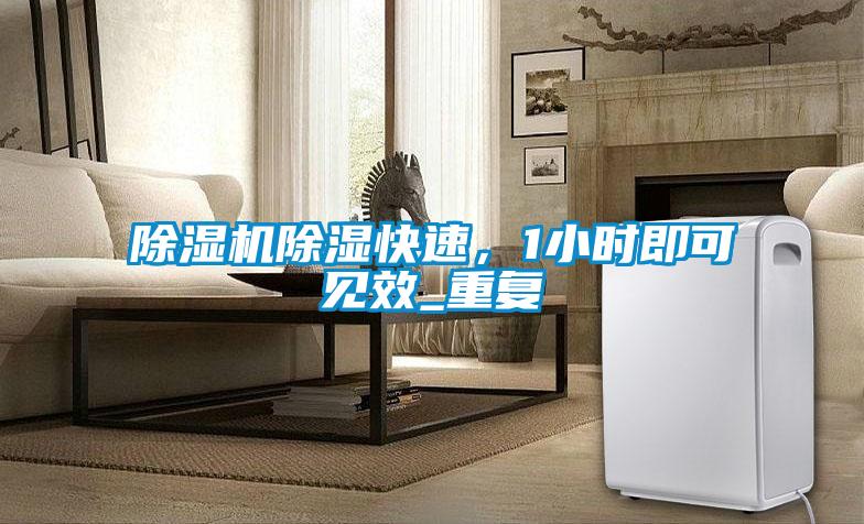 除濕機除濕快速，1小時即可見效_重復