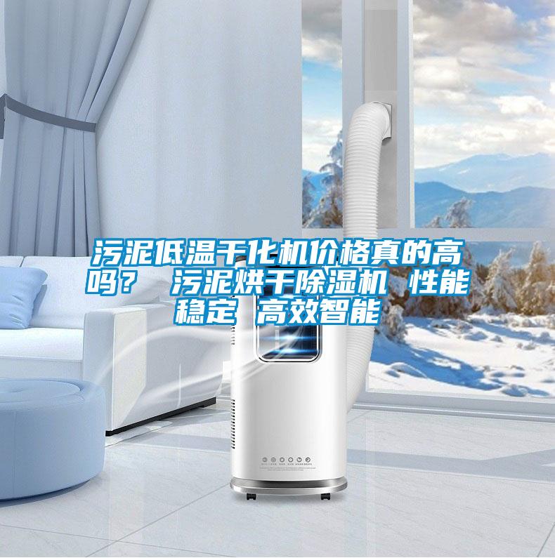 污泥低溫干化機(jī)價(jià)格真的高嗎？ 污泥烘干除濕機(jī) 性能穩(wěn)定 高效智能