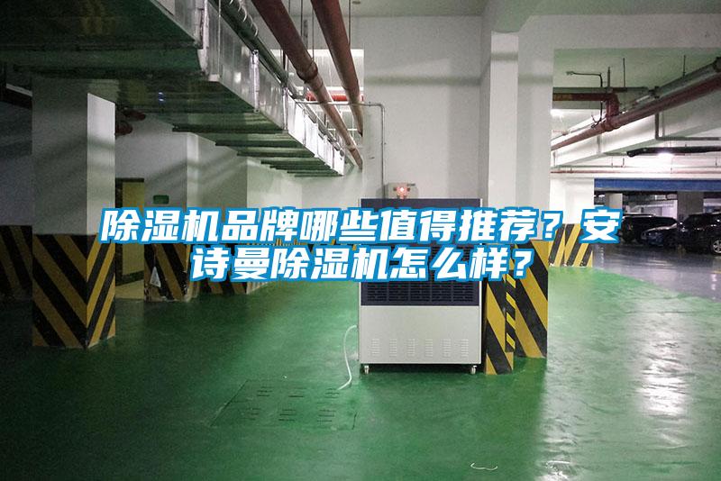 除濕機品牌哪些值得推薦？安詩曼除濕機怎么樣？
