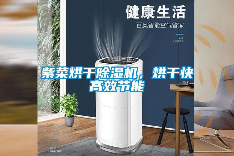 紫菜烘干除濕機，烘干快高效節能