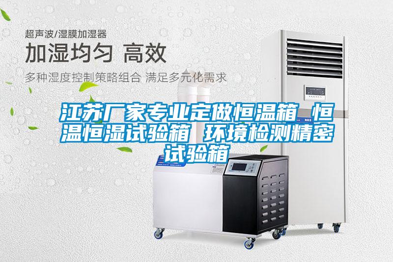 江蘇廠家專業(yè)定做恒溫箱 恒溫恒濕試驗(yàn)箱 環(huán)境檢測精密試驗(yàn)箱