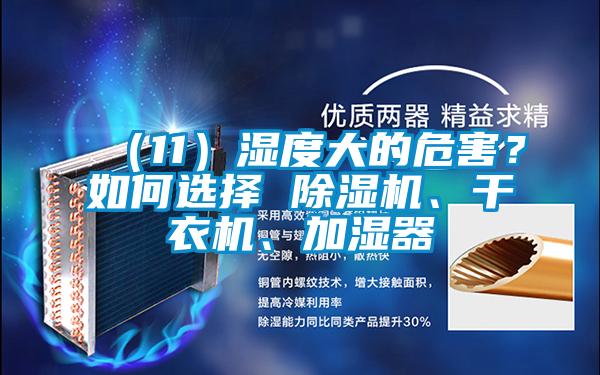 （11）濕度大的危害？如何選擇 除濕機、干衣機、加濕器
